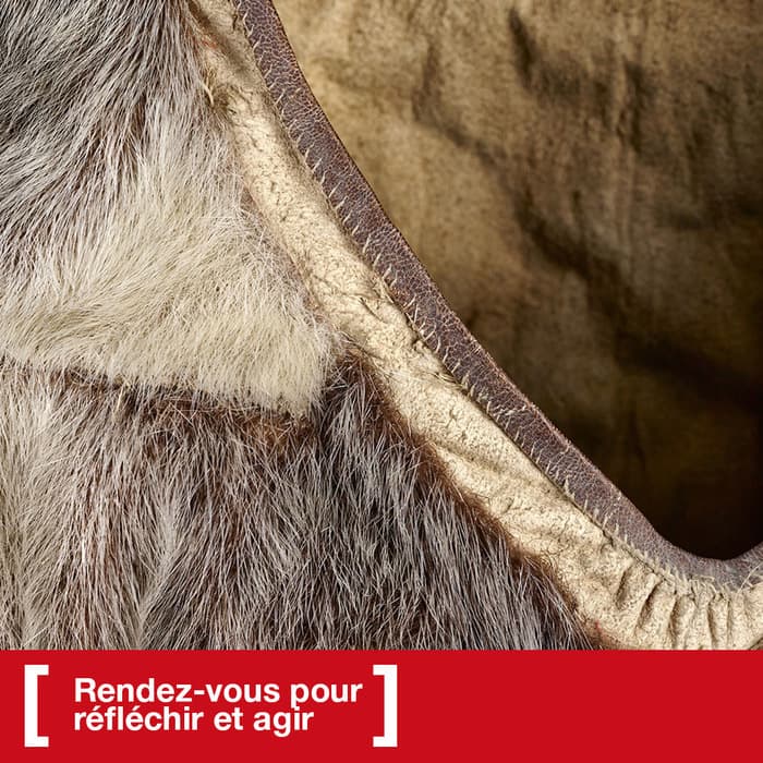 Mini visites pour réfléchir et agir