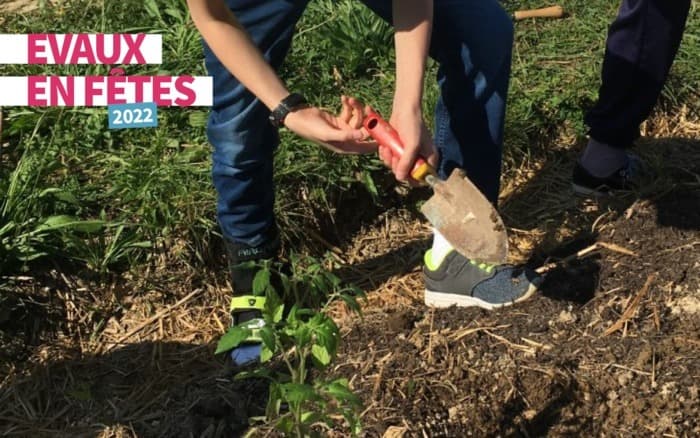 Cuisine et permaculture