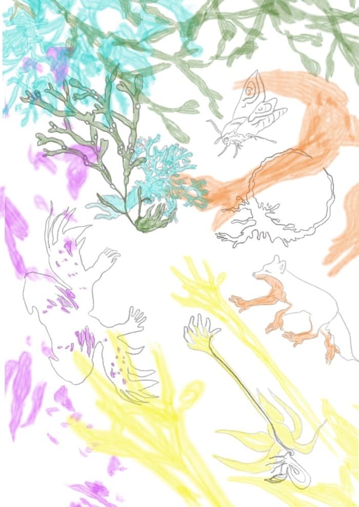 Week-end ParoleS : Est-ce que les arbres se racontent des blagues?