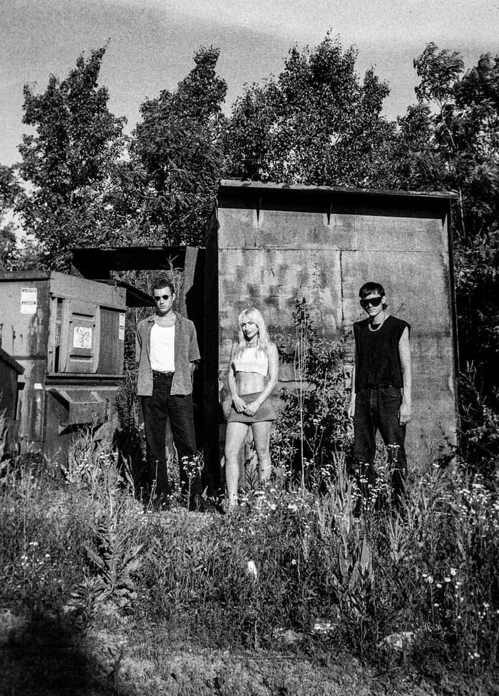 The Serfs +Transitionless