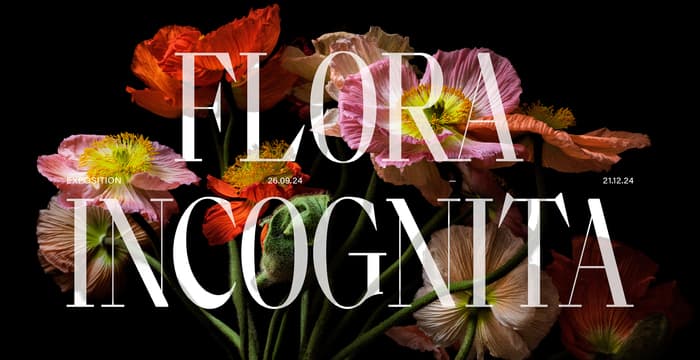 Vernissage Flora Incognita - Katharina von Flotow