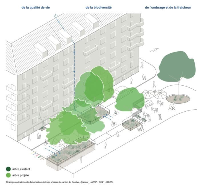 L'arbre et la Cité, par Eric Amos, Bertrand Favre et Robert Perroulaz