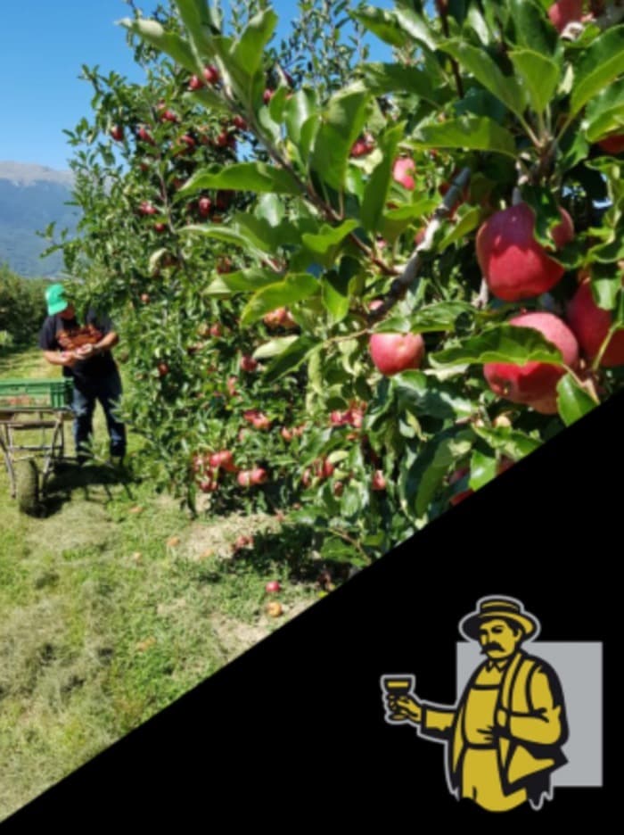 Visite du terroir - La pomme sous toutes ses formes aux domaine les Perrières !