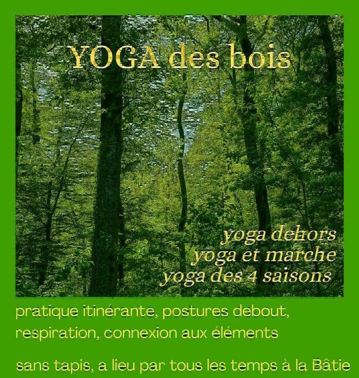Yoga des bois