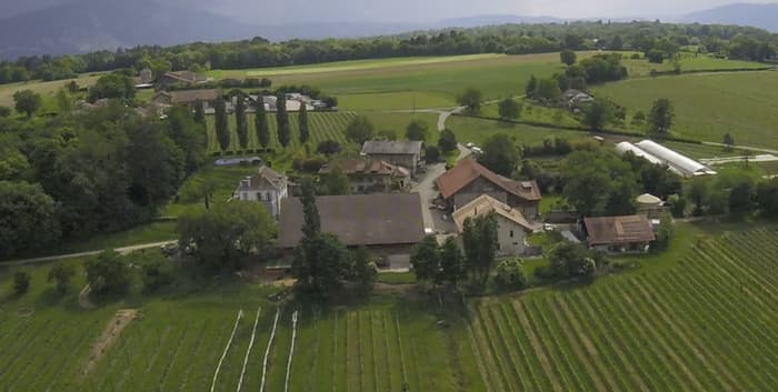 Visite Immersive "Du champ à l'apéro"