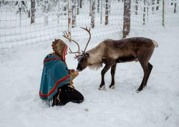 Atelier Famille, Les Saami