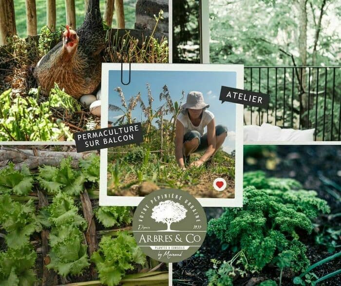 Atelier "Balcon Fertile : Permaculture en Ville"