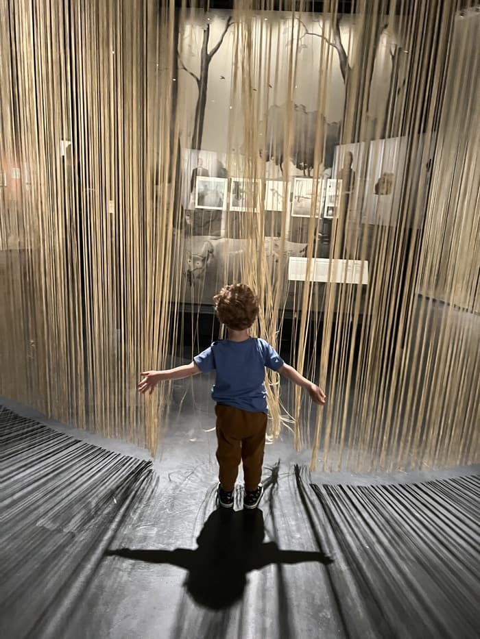 Parcours mini-MEG
