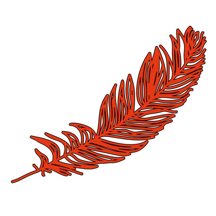 Voler dans les plumes