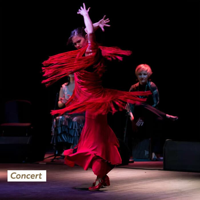 CONCERT FLAMENCO