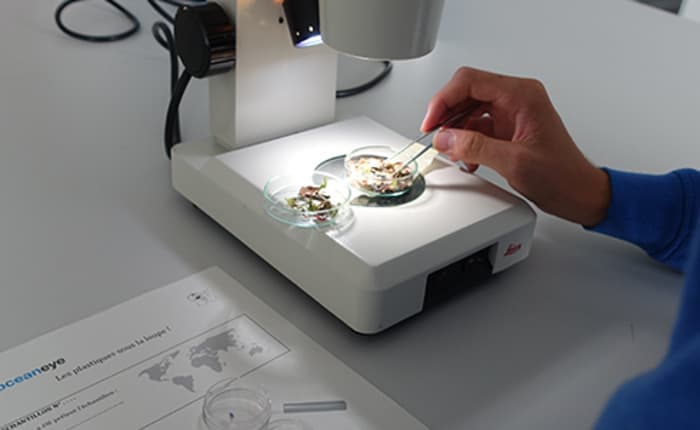 Atelier - carte de pollution microplastique