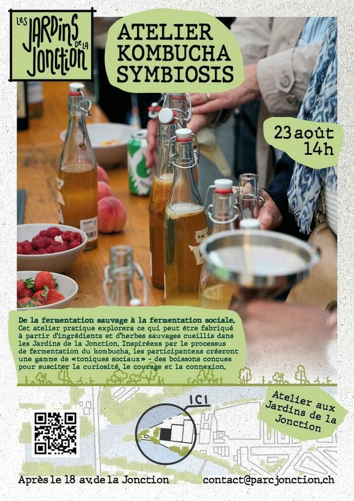 Atelier Kombucha Symbiosis