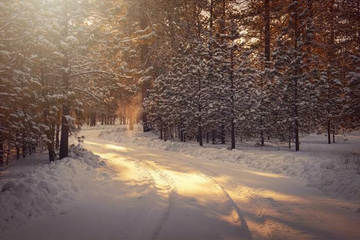 Rêverie sonore du solstice d'hiver