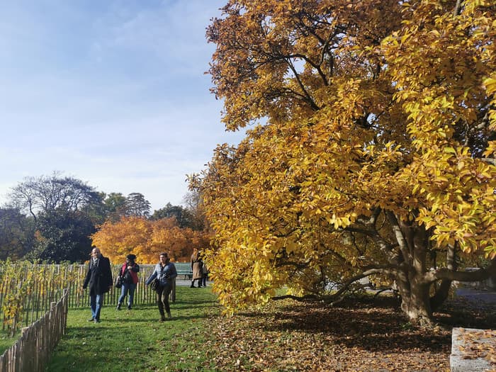 Balade photo "Mystères et couleurs d'automne"