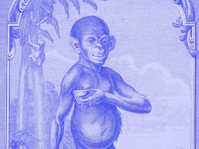 L"orang-outan" des Lumières - Festival Histoire et Cité