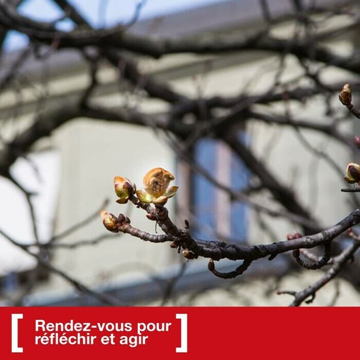Parcours «On en discute» avec Laurent Koelliker, sautier de la République de Genève.