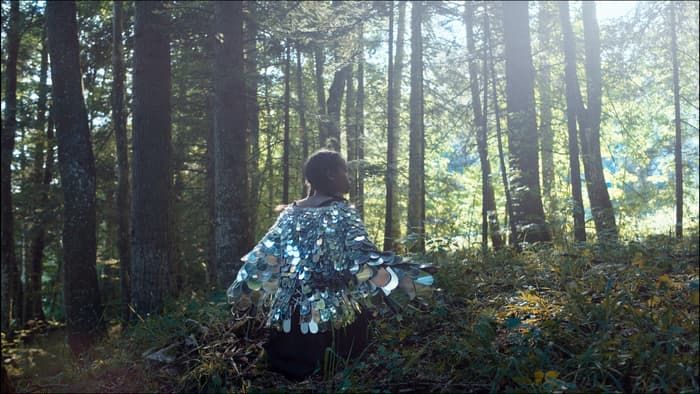 Cinéma plein air: Super Super & L'Envers du Monde