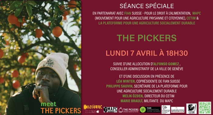 Projection - The Pickers