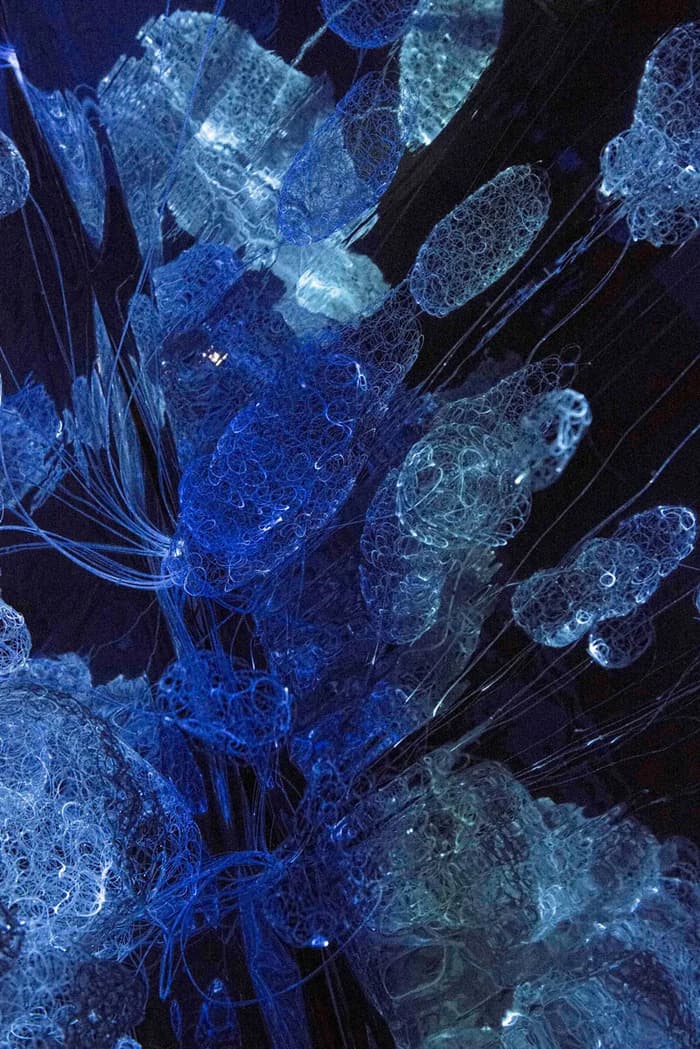 Exposition Experimental Synthesis par l'artiste Camille von Deshwanden