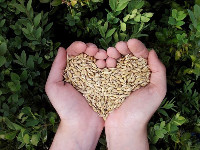 Atelier : Sensibilisation à manger en pleine conscience