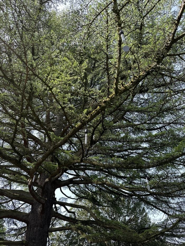 Cérémonie dédiée au deuil périnatal