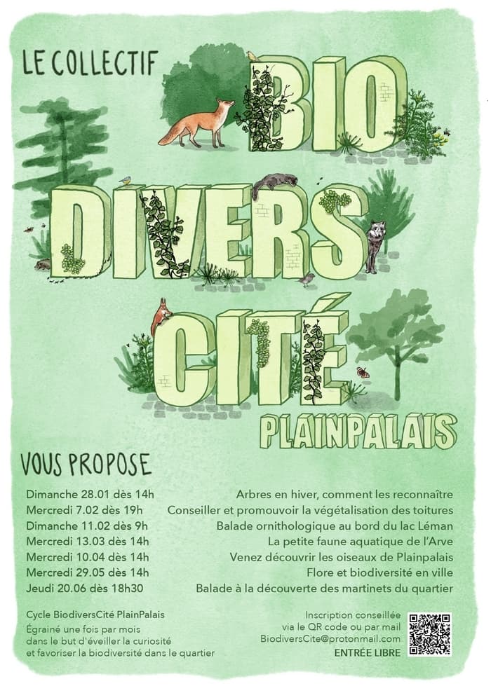 Balade à la rencontre des arbres de Plainpalais