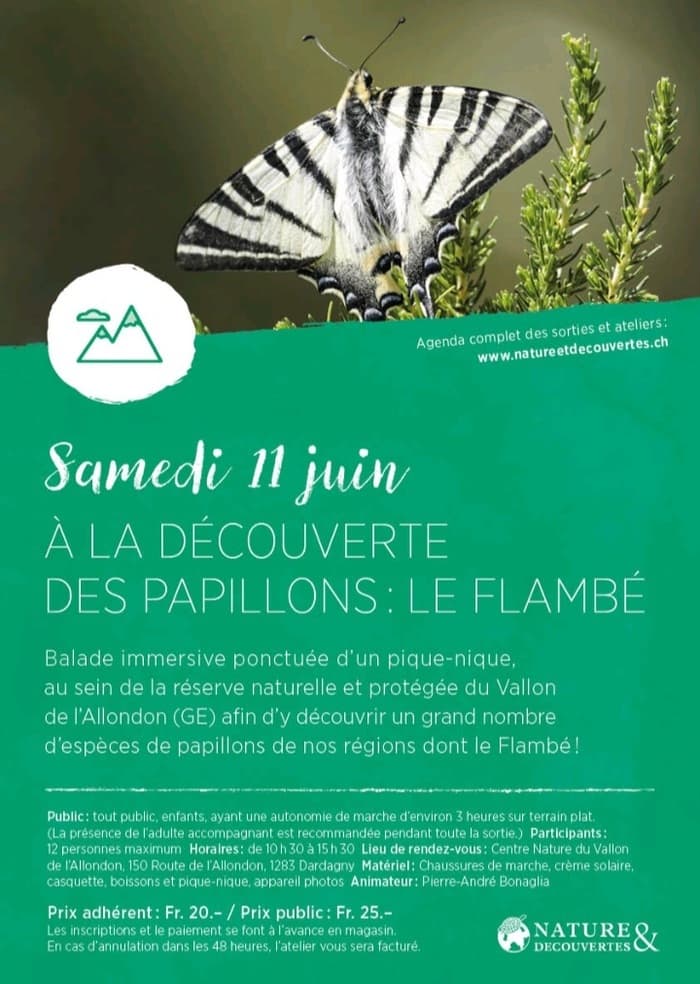 Balade papillons