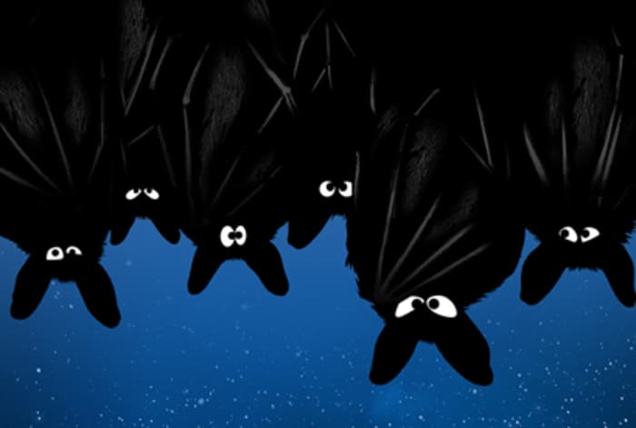 La nuit des chauves-souris