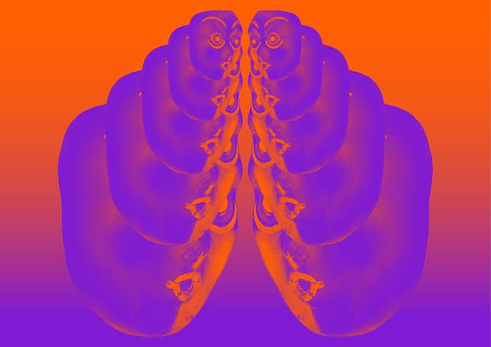 De l'hypnose au vertige