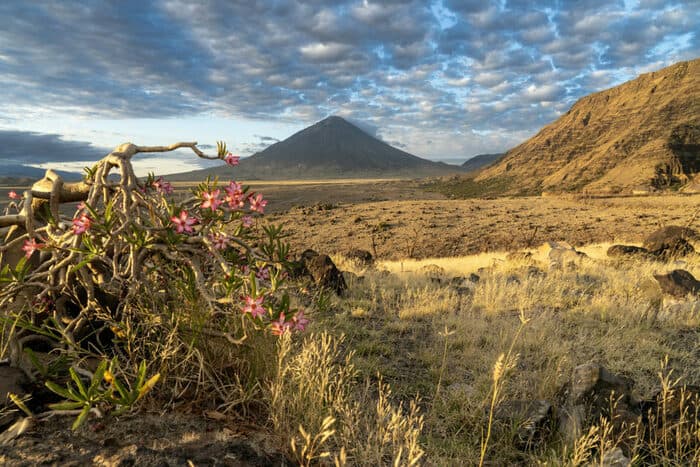 LE VOLCAN OL DOINYO LENGAI, LA MONTAGNE SACRÉE DES MAASAÏS, PAR FABIEN CRUCHON