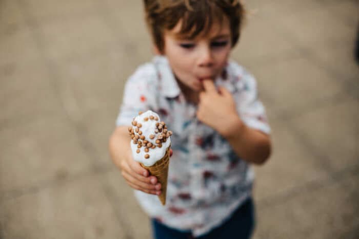 La Chasse aux glaces