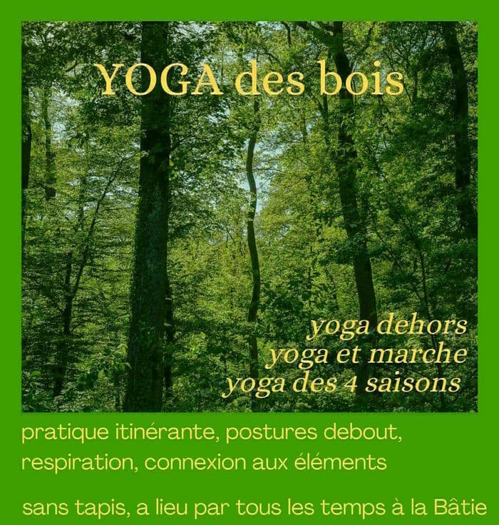 Yoga des bois