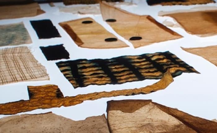 La collaboration être humain et micro-organismes : pour une industrie textile plus durable