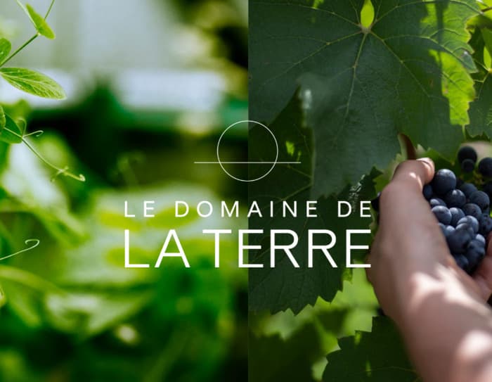 Visite Immersive au Domaine de la Terre