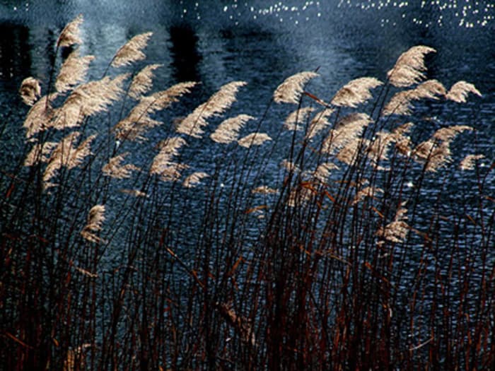 Poésies sonores et corporelles