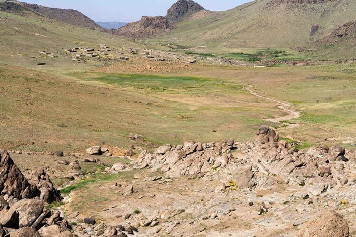 Voyage au Maghreb : dédicaces des plantes d'Afrique du Nord