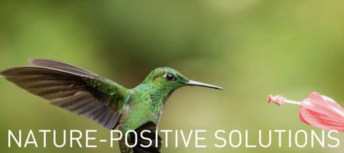 Construire demain : innovations et collaborations pour la nature