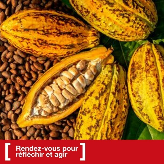 De la cabosse au chocolat! Atelier de dégustation et discussion autour du chocolat.