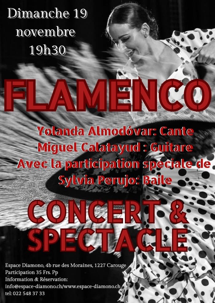 Soirée Flamenco: Concert & Spectacle
