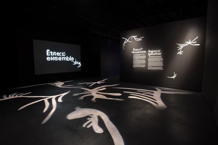 Visite flash de l'exposition «Être(s) ensemble» avant le spectacle «Miedka, la rencontre des mondes»
