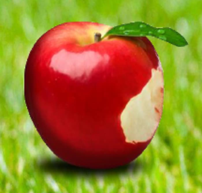 Fête de la pomme et du terroir