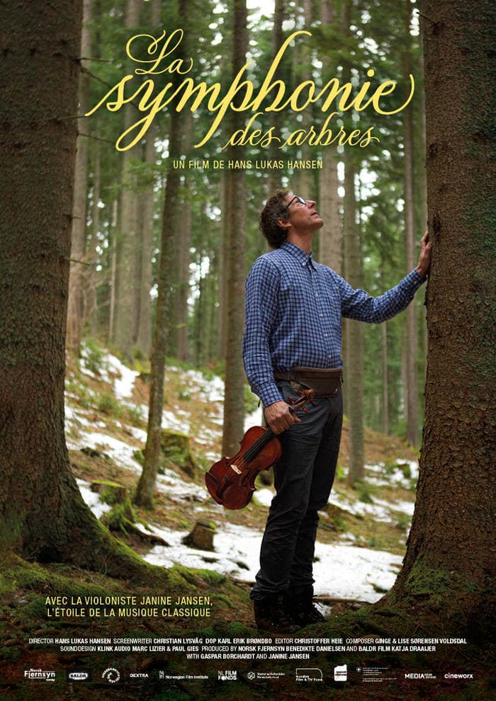 "La symphonie des arbres"