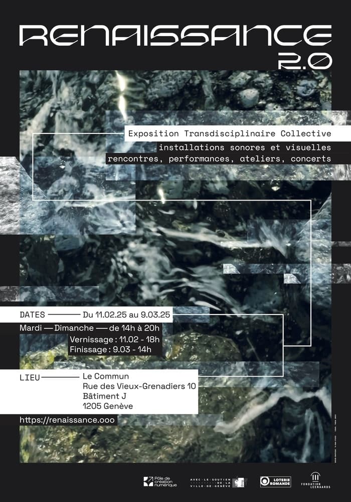 Renaissance 2.0 - exposition transdisciplinaire collective