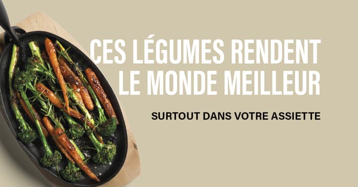 Que va-t-on manger? Les animaux ont disparu…
