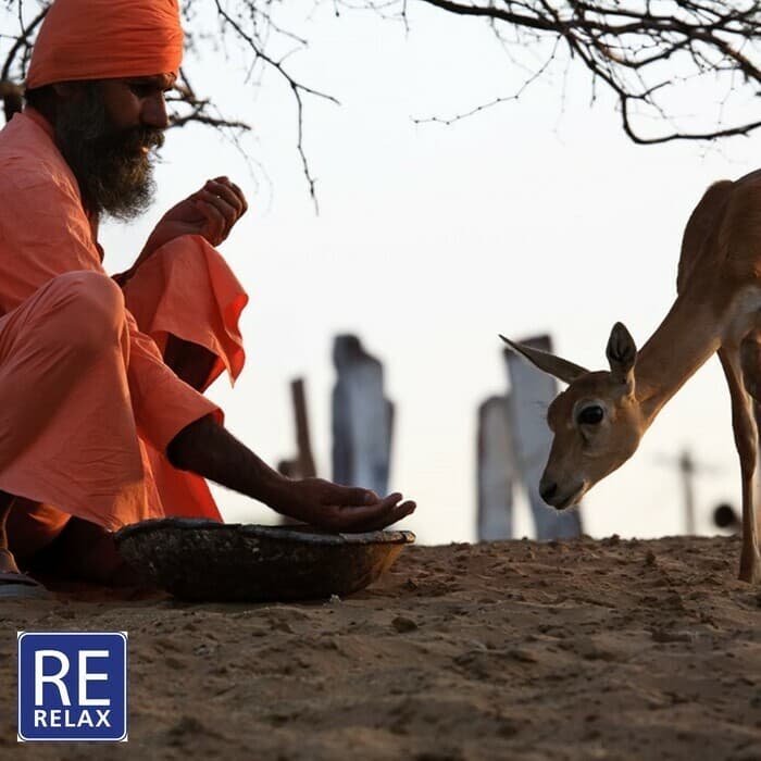 Ciné-relax: Bishnoïs. Rajasthan, l'âme d'un prophète