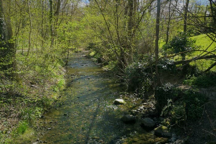 Nettoyage citoyen intercommunal du Vallon de l'Aire