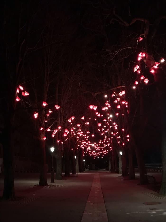 Le Geneva Lux Festival à la tombée de la nuit.
