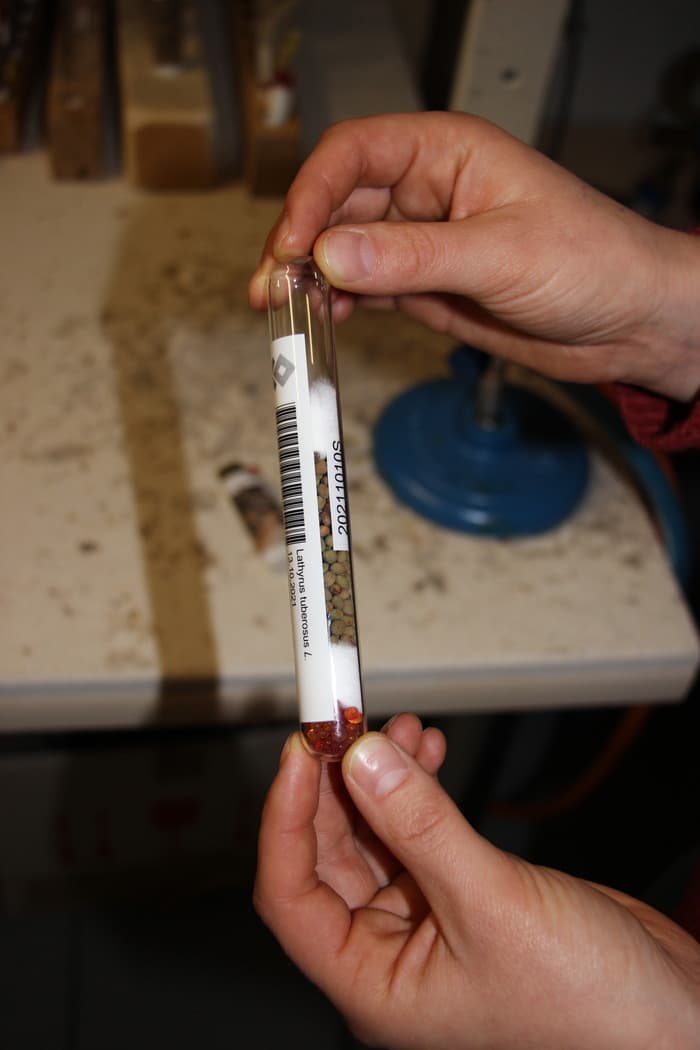 Coffre-fort des raretés : La banque de semences des CJBG
