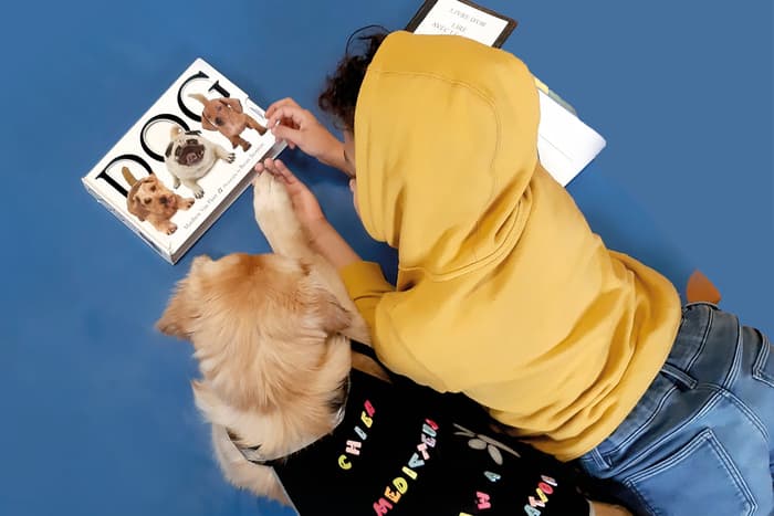 Lire avec le chien