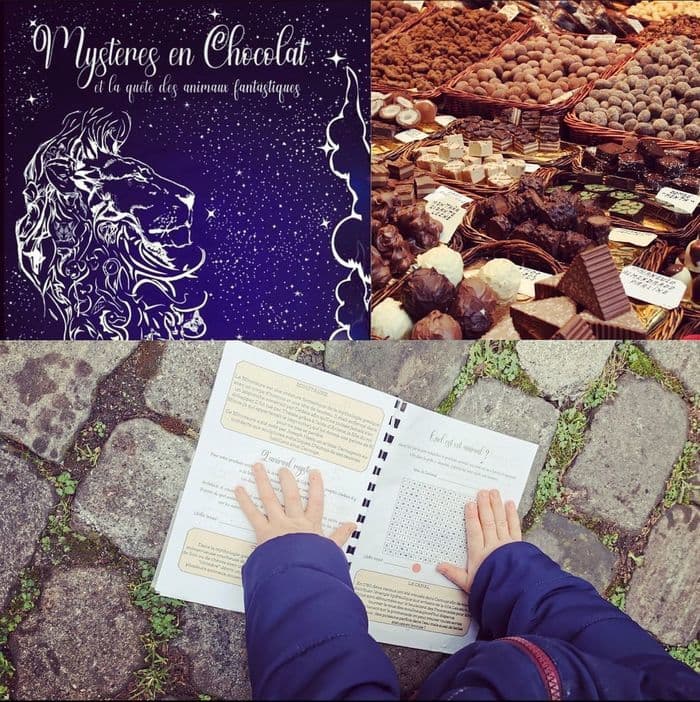 Mystère en Chocolat - La quête des animaux fantastiques